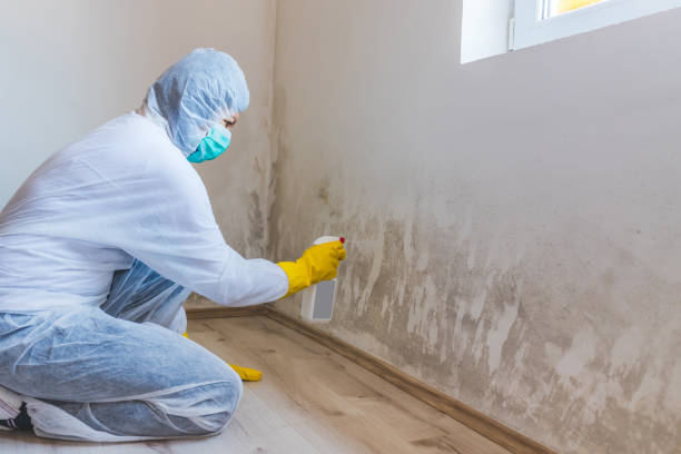 Licensed Mold Testing service in Simpson, NC - WQB Mold Removal