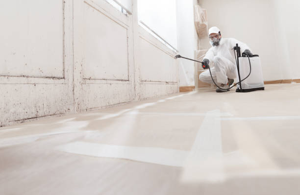 Trusted Mold Testing service in Simpson, NC - WQB Mold Removal
