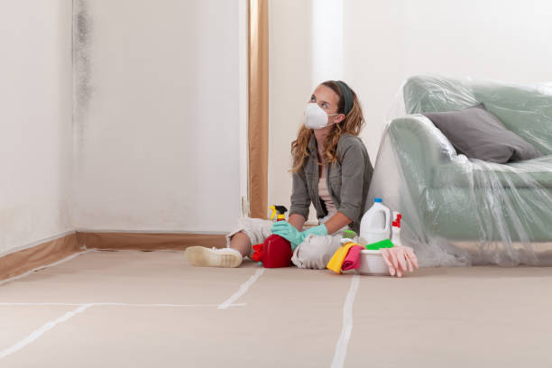 Reliable Mold Testing contractor in Simpson, NC by WQB Mold Removal